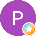 Foto do perfil de Palmira Dias no Google